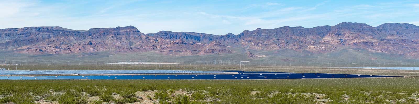 Renewable Energy